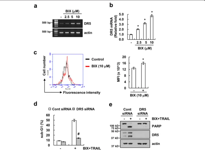 Fig. 4 Upregulation of DR5 expression is associated with BIX-01294 plus TRAIL-induced apoptosis