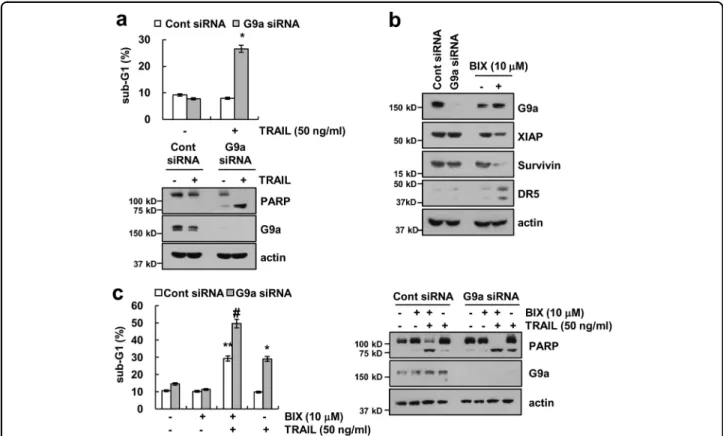 Fig. 6 Knockdown of G9a sensitizes Caki cells to TRAIL-mediated apoptosis. a Caki cells were transiently transfected control siRNA (Cont siRNA) or G9a siRNA