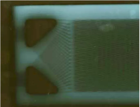 Figure 2 top view of PCHE through x-ray 