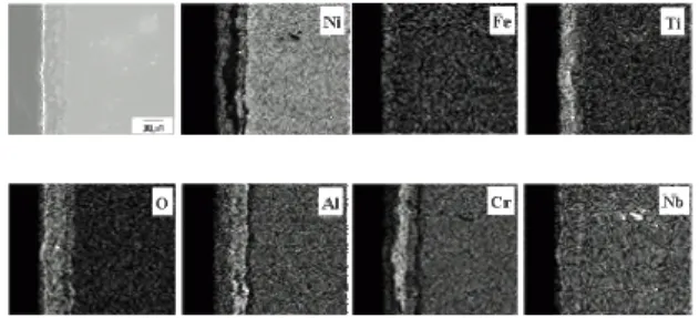 Fig. 1. Cross-sectional SEM image and elemental  distribution of Inconel 713LC corroded at 675 o C   for 72 hrs