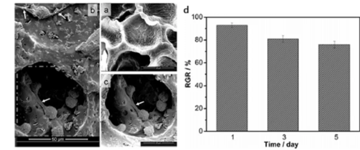 Figure 9. (a) 오리지널 PPC/GO foam과 (b, c) 24시간 L929세포배양 후의 PPC/GO foam. (d) PPC/GO foam의 MTT assay  결과[24]