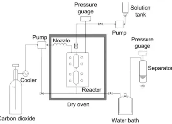 Figure  1.  Schematic  diagram  of  the  system  for  ITO  synthesis  by  SAS  method.