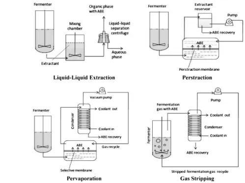 Figure 4. Various techniques used in ABE fermentation for product recovery.