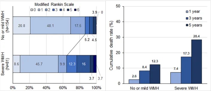 Fig 2. Functional outcomes at 3 months and cumulative death rate. WMH indicates white matter hyperintensities; mRS, modified Rankin Scale.