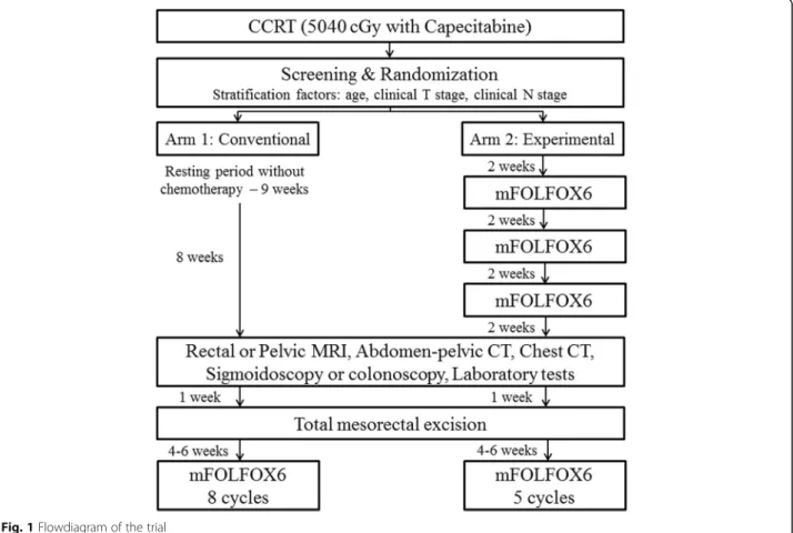 Fig. 1 Flowdiagram of the trial