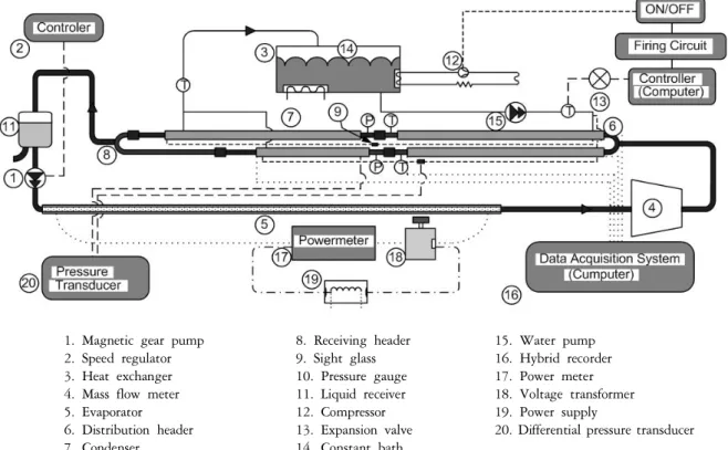 Figure  1.    Schematic  diagram  of  the  experimental  apparatus.