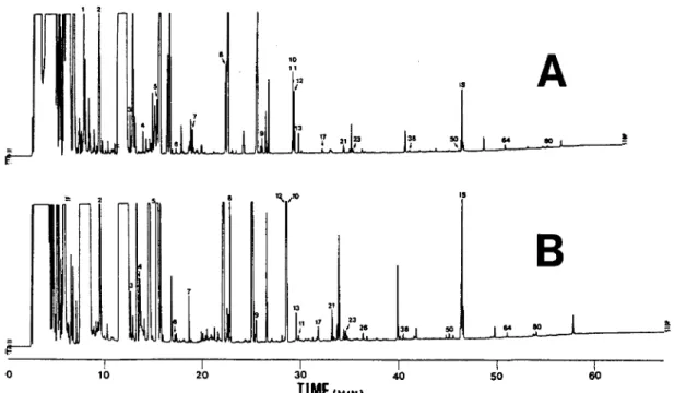 Fig. 3. DB-5(A) and DB-1701(B) organic acids profiles of cheese solution. Peak numbers correspond to the numbers in  Table 1 and GC conditions are in the text.