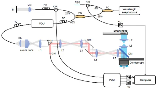 Fig.  1.  System  configuration  of  dermoscopy  guided  MF-OCT.  Bessel  beam  illumination  and  Gaussian  beam  detection  paths  for  dark-field  effect  are  depicted  in  gray  and  red  colors,  respectively