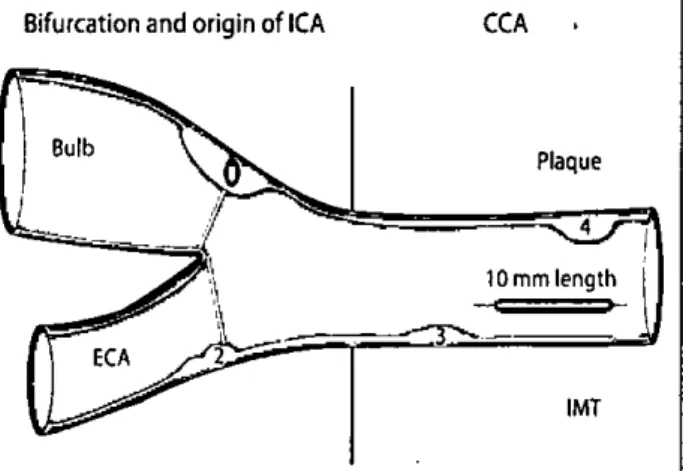 Figure 4. Different segment definitions of c1inical studies. 71