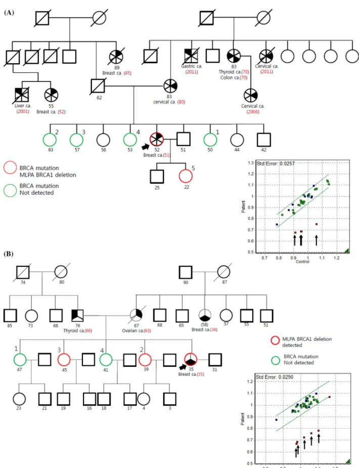 Fig. 2 The 3 BRCA1 LGRs identified in the study using MLPA screening. The MLPA analysis demonstrates a exons 5–8 deletion, b exons 22–24 deletion, and c exons 1–14 deletion