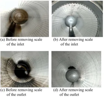 Figure 1.  Assembly of the CIP 