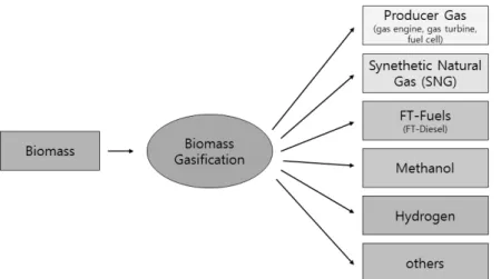 Figure 1. Biomass gasification as a key technology for future biomass utilization.