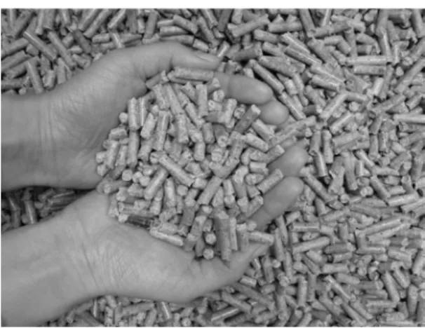 Figure 1. Wood pellets.