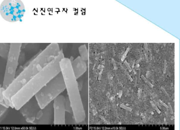 그림 10. (A) TiO 2 nanofiber, (B) TiO 2 nanofiber 첨가한 광전극 표면 SEM사진.