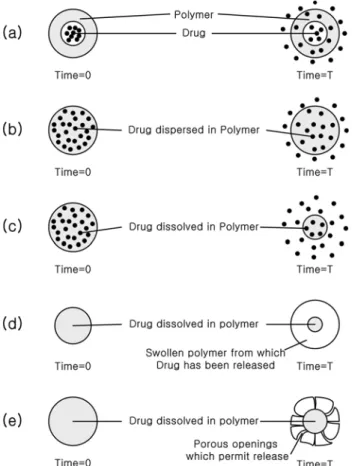 Figure 3. Block diagram for spray processes for particle generation.