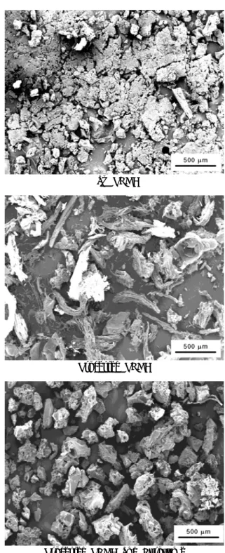 Figure 5. SEM photographs of raw PLGA, processed PLGA and  processed PLGA-lysozyme particles at 38℃, 20 MPa, 0.83  wt% solutes (PLGA+lysozyme) in scCO 2 , 0.06" nozzle  diameter and 9cm nozzle-valve distance.