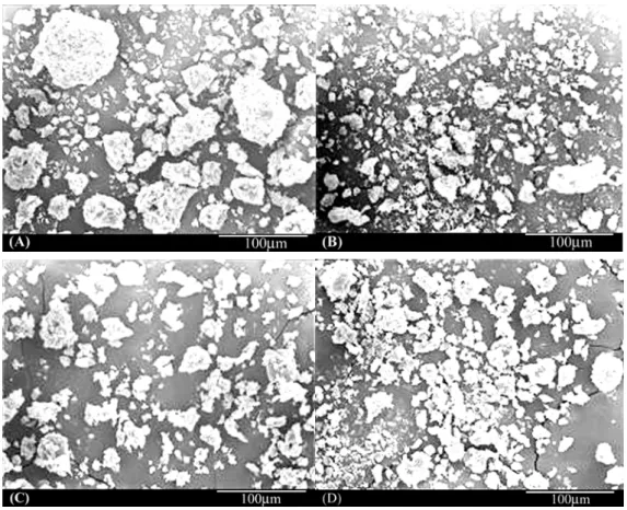 Figure 3. SEM image of PLLA via ring opening polymerization in scCO 2 : (A) without stabilizer,                   (B) stabilized by PDMS 10K -b-PAA 1.3K,  (C) stabilized by PDMS 10K -b-PMAA 0.8K , (D) stabilized 