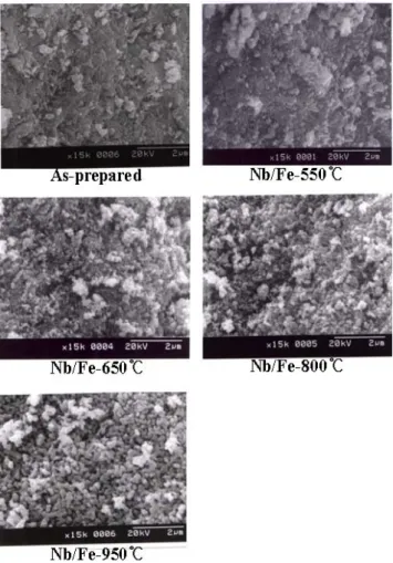 Figure 2. XRD patterns of Nb/Fe = 1/1 mixed oxides with  different calcination temperature(Fe 2 O 3 , Nb 2 O 5 = 550℃,  Nb/Fe mixed oxides = 450~950℃).