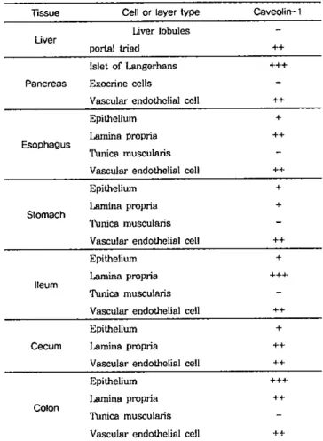 Table 1. lmmunohistochernical localization of caveolin-] in the digestive organs of mouse