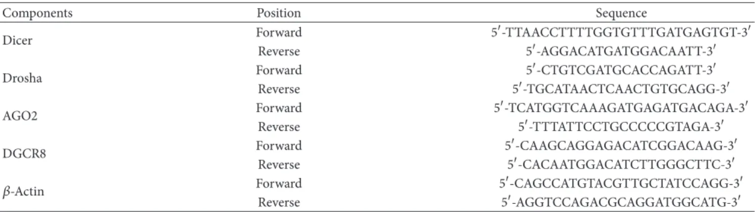 Table 1: Primer sequences of miRNA machinery components used in quantitative PCR.
