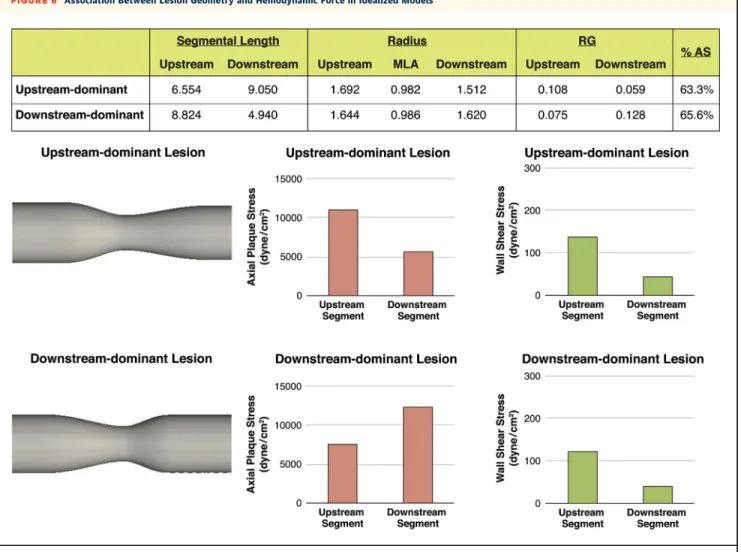 FIGURE 6 Association Between Lesion Geometry and Hemodynamic Force in Idealized Models