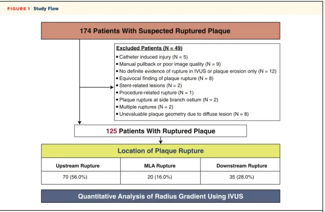 FIGURE 1 Study Flow
