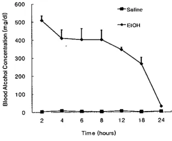 Figure 1. ßlood ethanol concentrations in PD5 rats after ethanol and saline treatrnenl