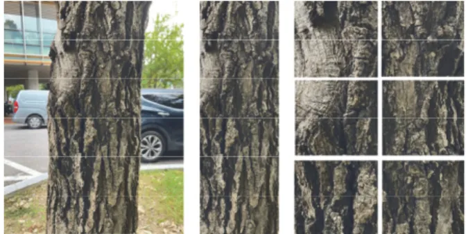 Figure  1.   Demonstration  of  image  preprocessing  steps.  Images on  the  left,  middle,  and  right  represents  the  original  image,   side-cropped  image,  and  square  side-cropped  images,  respectively.