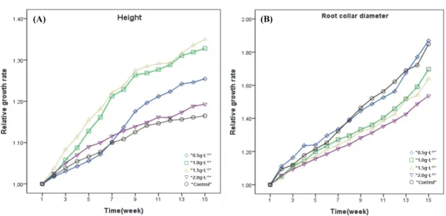 Figure  2.  The  Height  divided  by  Root  collar  diameter  (H/R) patterns  of  S.  thea  during  15  weeks  measurement