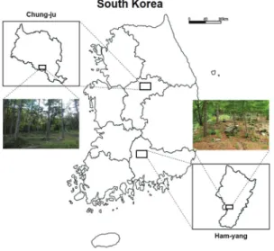 Figure 1. Selection of wild-simulated ginseng experimental plots by different forest physiognomy