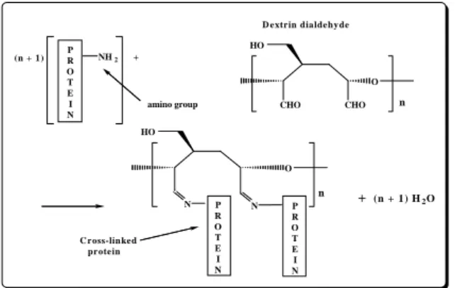 Fig.  6.  Protein과  DAS의  반응  메커니즘.