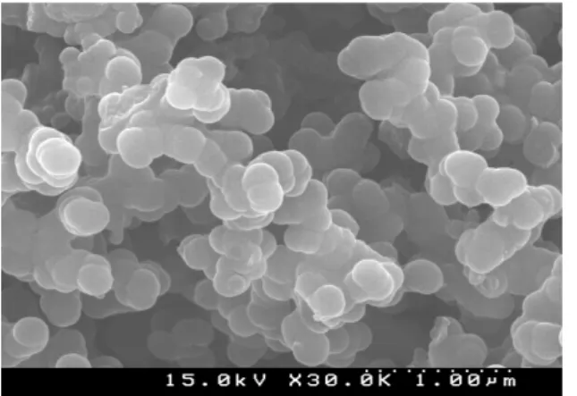 Fig.  10.  SEM  image  of  carbon  black.(×30,000)