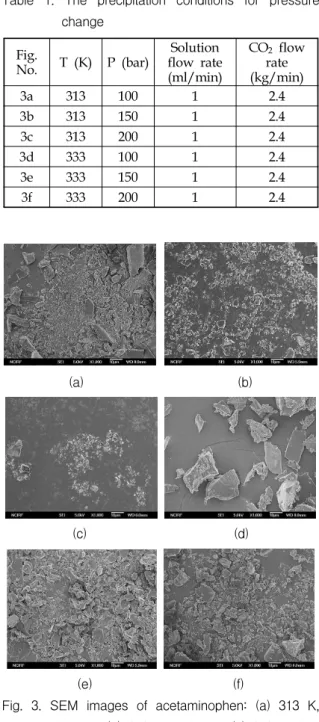 Fig.  2.  SEM  image  of  unprocessed  acetaminophen