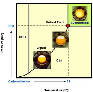 Fig.  2.  Molecular  association  in  supercritical  CO 2 .