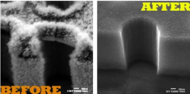 Fig.  11.  Wafer  cleaning  using  supercritical  carbon  dioxide.