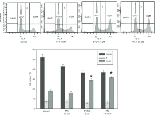 Figure 4. Effects of PTX and/or SY-016 on the expression of apoptosis-related proteins in OVCAR-3PTX cells