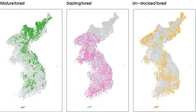 Figure 6. Distribution of mature forest, sapling forest and un-stocked forest in 1910.