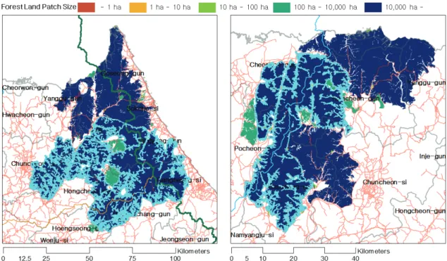 Figure 7. Complicated ameba type large forest landscape(patch) shape and fragmentation risk feasibility.