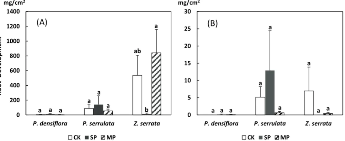 Figure 5. Comparison of fine root development (dry weight/root surface area) among tree species