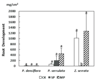 Figure 7. Comparison of fine root development (dry weight/