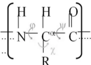 Figure 1. Common structure of one amino acid (N: nitro- nitro-gen atom, C: carbon atom, O: oxynitro-gen atom, H: hydronitro-gen  atom, and R: side chain)