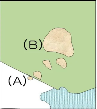 Figure 1. Marginal population example which regional Red  List authority may decide that they will not assess taxa where less than 1% of the global population occurs (A) a marginal population (B) main populations (IUCN, 2012).