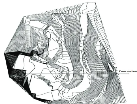 Figure 1. The present condition plane and cross section of the slope.