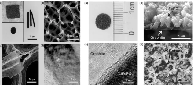 Figure  1.  (a)  서로  다른  형상을  가진  UGF의  사 진. (b) UGF의 미세구조를 보여주는 UGF의 SEM  이미지. (c) UGF 내의 부러진 버팀대를 보여주는 SEM 사진