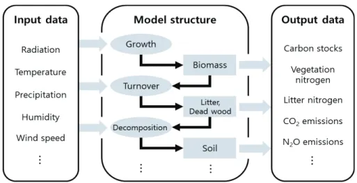 Figure 1. General description of simulation process in forest carbon (C) and nitrogen (N) models.
