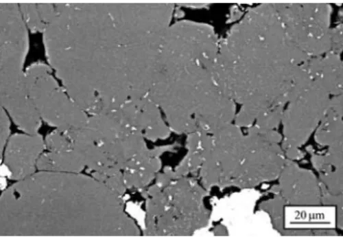Fig. 1.- SEM micrographs of a pre-sintered product.  During die-compaction, the Al powder particles  experience a considerable cold deformation evidenced by  the dark grit decorating a big part of the microstructure (Fig