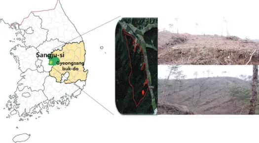 Figure 1. Study site.서  론소나무는 소나무과 상록침엽교목으로 우리나라에서는 국민들의 선호도가 가장 높고 현재 가장 많이 조림에 이용되는  수종으로  2015년에  전체  침엽수종  조림면적 12,920 ha 중에 5,340 ha 면적에 13,070본(천본/ha)으로 약 40%  이상 차지하여 침엽수종중 가장 많은 면적과 식재본수가 높은 수종이다(KFS, 2016)