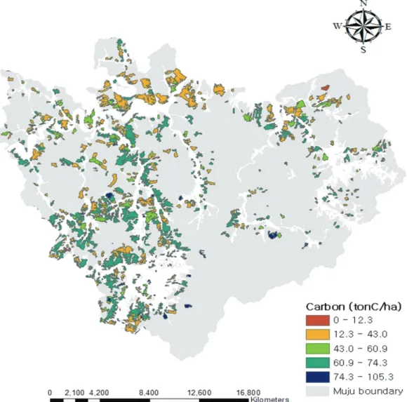 Figure 3. Aboveground carbon storage map of Pinus rigida stands in Muju-gun. 며 무주지역 리기다소나무림의 지상부 총 탄소 저장량은  430,963 C ton 으로 추정되었다