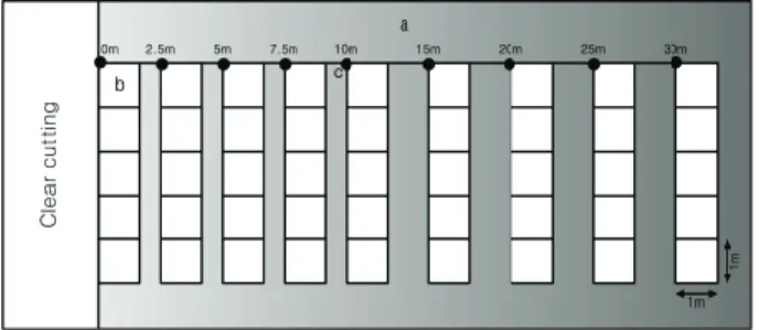 Figure 2. Schematic diagram for sampling design (a). Each band consisted of five 1 ㎡ subplots (b)