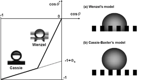 Figure 2.  초발수 거동을 설명하기 위한 두 가지 이론. (a) Wenzel과 (b) Cassie-Baxter 모델[9-11].